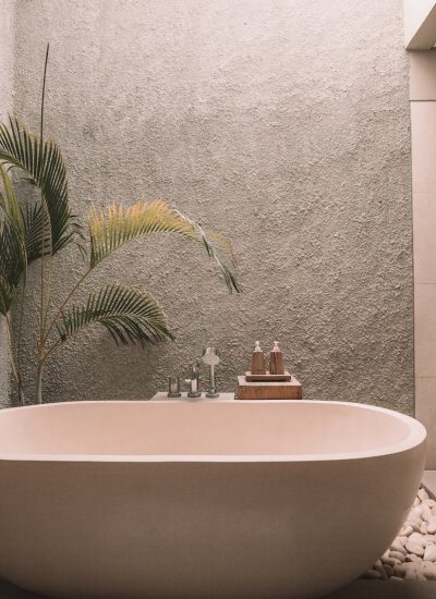 Accent Wall​ near bathtub